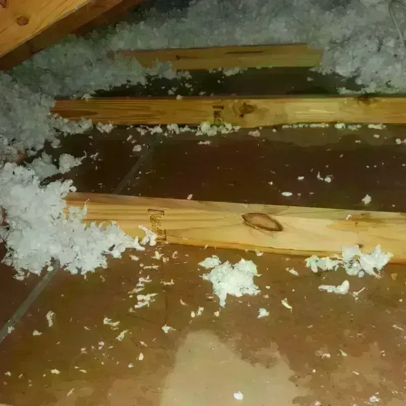 Attic Water Damage in Maunabo, PR